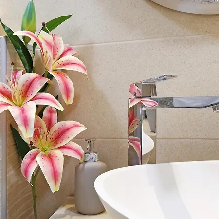 Paradise Starry Suite-city Center * Beograd